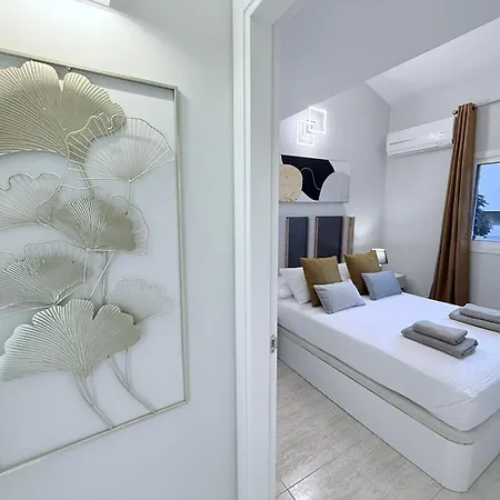 Hdfm Collection - Oasis אדחה